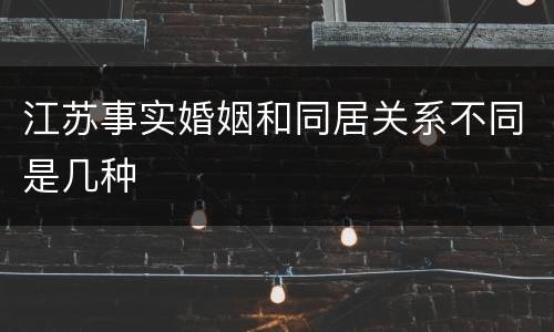 江苏事实婚姻和同居关系不同是几种