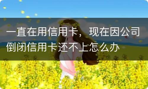 一直在用信用卡，现在因公司倒闭信用卡还不上怎么办