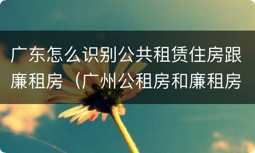 广东怎么识别公共租赁住房跟廉租房（广州公租房和廉租房）