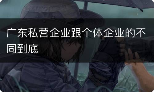 广东私营企业跟个体企业的不同到底