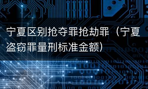 宁夏区别抢夺罪抢劫罪（宁夏盗窃罪量刑标准金额）