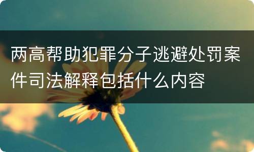 两高帮助犯罪分子逃避处罚案件司法解释包括什么内容