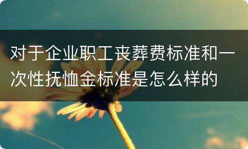 对于企业职工丧葬费标准和一次性抚恤金标准是怎么样的