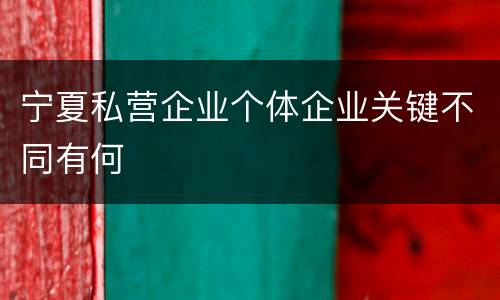 宁夏私营企业个体企业关键不同有何