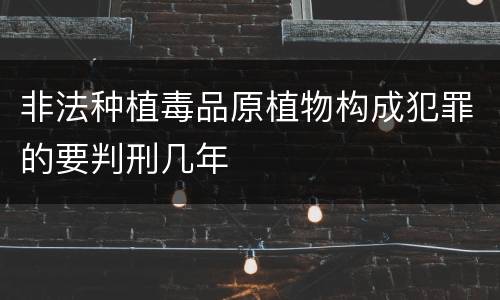 非法种植毒品原植物构成犯罪的要判刑几年