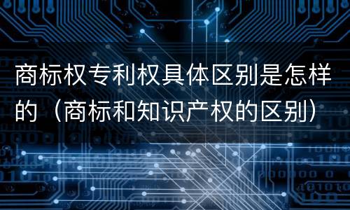 商标权专利权具体区别是怎样的（商标和知识产权的区别）