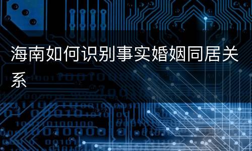 海南如何识别事实婚姻同居关系