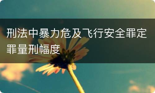 刑法中暴力危及飞行安全罪定罪量刑幅度