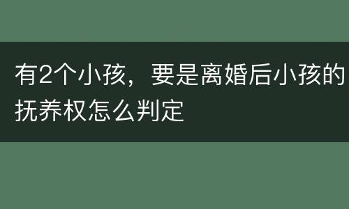 有2个小孩，要是离婚后小孩的抚养权怎么判定
