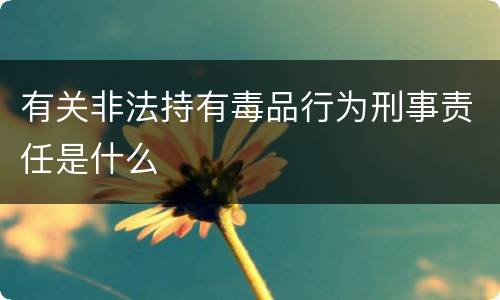 有关非法持有毒品行为刑事责任是什么