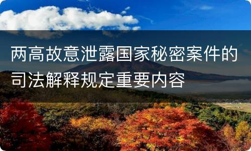 两高故意泄露国家秘密案件的司法解释规定重要内容
