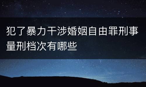 犯了暴力干涉婚姻自由罪刑事量刑档次有哪些