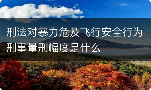 刑法对暴力危及飞行安全行为刑事量刑幅度是什么