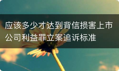 应该多少才达到背信损害上市公司利益罪立案追诉标准