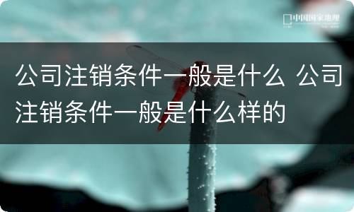 公司注销条件一般是什么 公司注销条件一般是什么样的