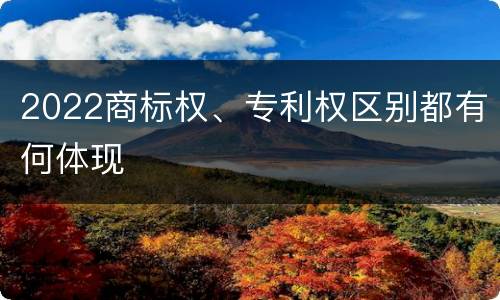 2022商标权、专利权区别都有何体现