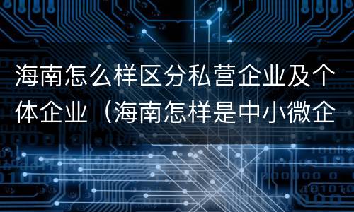 海南怎么样区分私营企业及个体企业（海南怎样是中小微企业怎么划分）
