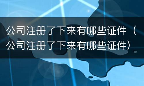 公司注册了下来有哪些证件（公司注册了下来有哪些证件）