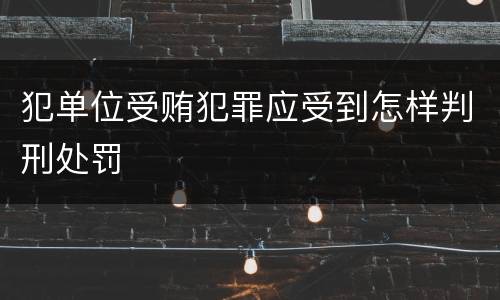犯单位受贿犯罪应受到怎样判刑处罚