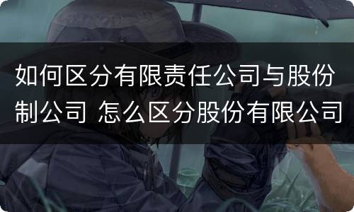 如何区分有限责任公司与股份制公司 怎么区分股份有限公司和有限责任公司