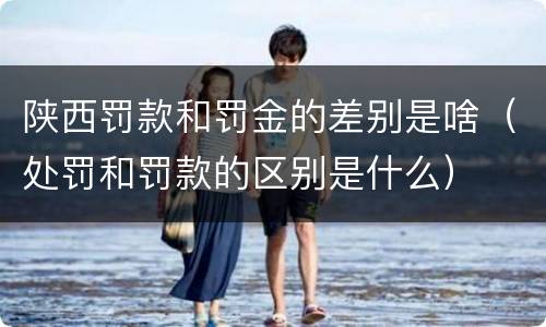 陕西罚款和罚金的差别是啥（处罚和罚款的区别是什么）