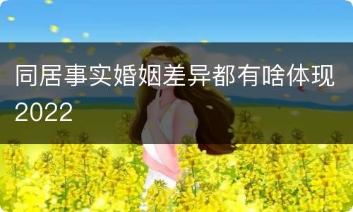 同居事实婚姻差异都有啥体现2022