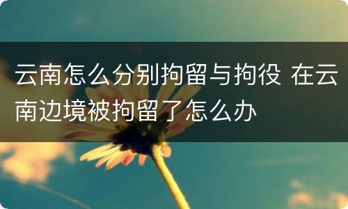 云南怎么分别拘留与拘役 在云南边境被拘留了怎么办