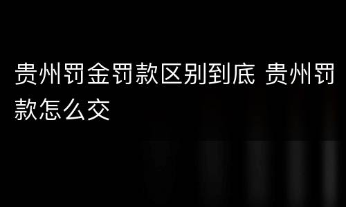 贵州罚金罚款区别到底 贵州罚款怎么交