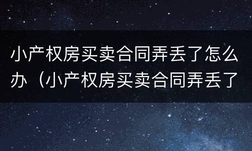 小产权房买卖合同弄丢了怎么办（小产权房买卖合同弄丢了怎么办啊）