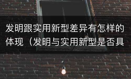 发明跟实用新型差异有怎样的体现（发明与实用新型是否具有实用性）