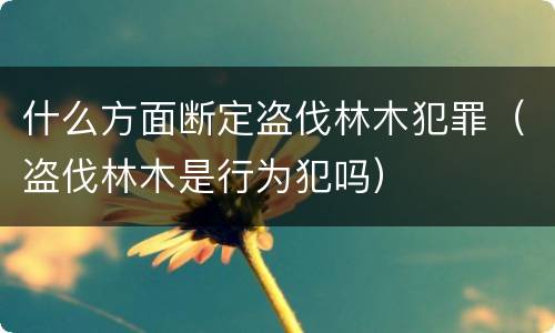 什么方面断定盗伐林木犯罪（盗伐林木是行为犯吗）