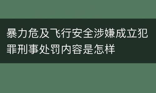 暴力危及飞行安全涉嫌成立犯罪刑事处罚内容是怎样