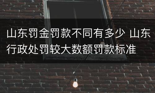山东罚金罚款不同有多少 山东行政处罚较大数额罚款标准