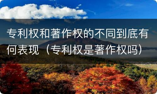 专利权和著作权的不同到底有何表现（专利权是著作权吗）