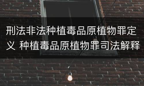 刑法非法种植毒品原植物罪定义 种植毒品原植物罪司法解释