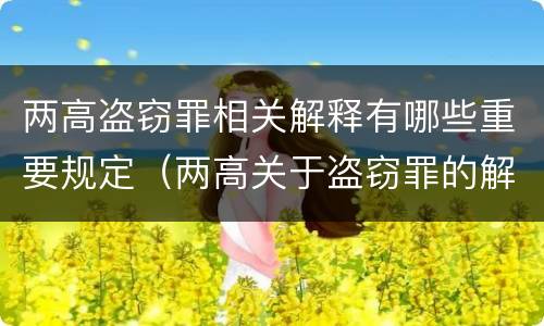 两高盗窃罪相关解释有哪些重要规定（两高关于盗窃罪的解释）