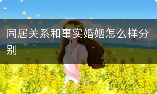 同居关系和事实婚姻怎么样分别