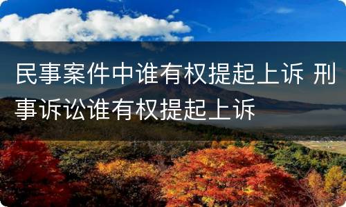 民事案件中谁有权提起上诉 刑事诉讼谁有权提起上诉