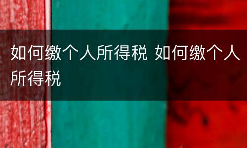 如何缴个人所得税 如何缴个人所得税