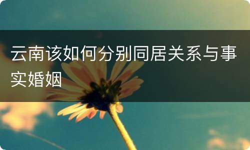 云南该如何分别同居关系与事实婚姻