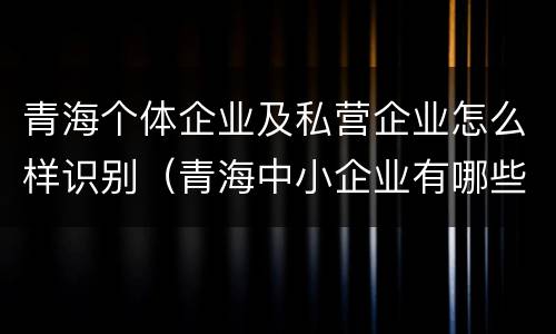 青海个体企业及私营企业怎么样识别（青海中小企业有哪些）