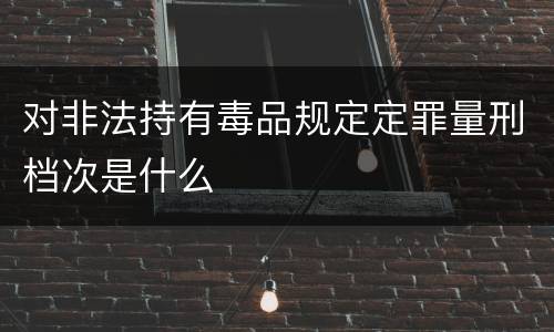 对非法持有毒品规定定罪量刑档次是什么
