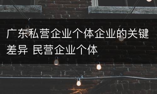 广东私营企业个体企业的关键差异 民营企业个体