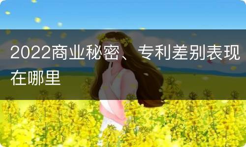 2022商业秘密、专利差别表现在哪里