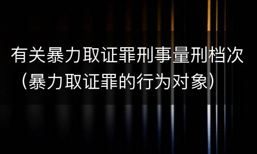 有关暴力取证罪刑事量刑档次（暴力取证罪的行为对象）