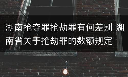 湖南抢夺罪抢劫罪有何差别 湖南省关于抢劫罪的数额规定