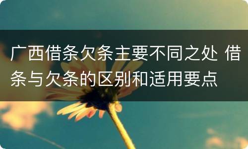 广西借条欠条主要不同之处 借条与欠条的区别和适用要点