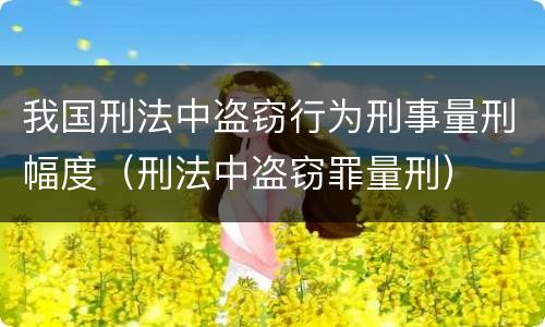 我国刑法中盗窃行为刑事量刑幅度（刑法中盗窃罪量刑）