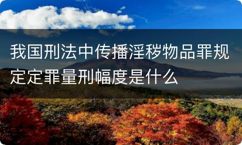 我国刑法中传播淫秽物品罪规定定罪量刑幅度是什么