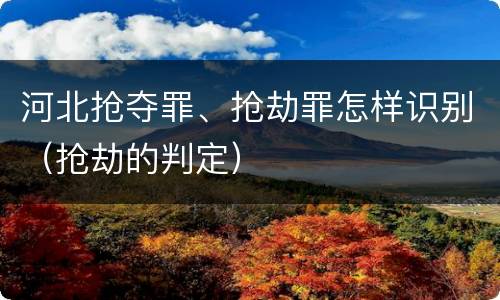 河北抢夺罪、抢劫罪怎样识别（抢劫的判定）